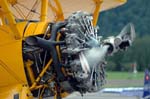 Bücker