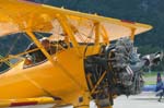 Bücker