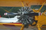 Bücker