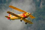 Bücker